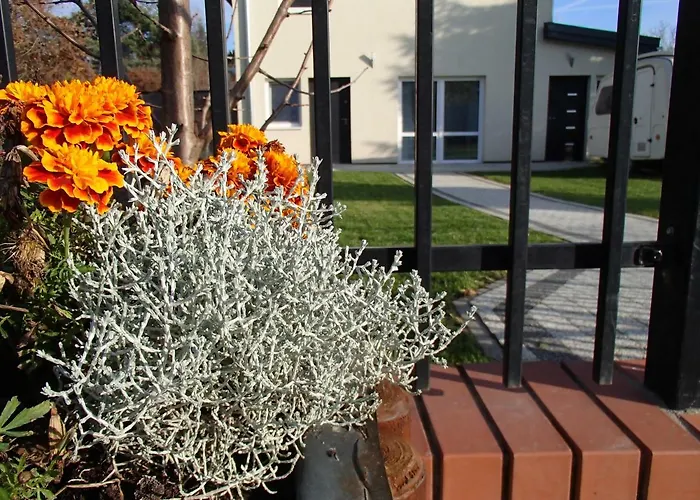 شقة Wislana وارسو