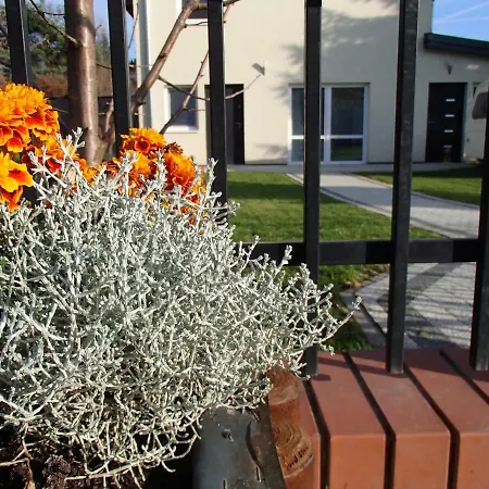 Daire Wislana Varşova